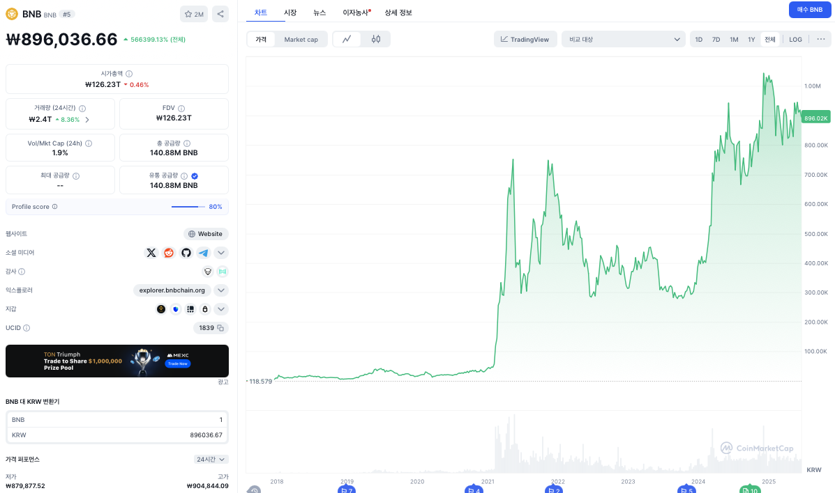 BNB 코인 가격 차트